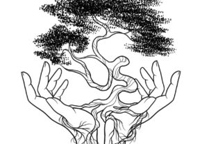 Image of Restored Roots Wellness logo - two hands with roots leading into the top of a tree | Black Owned Maine Portland