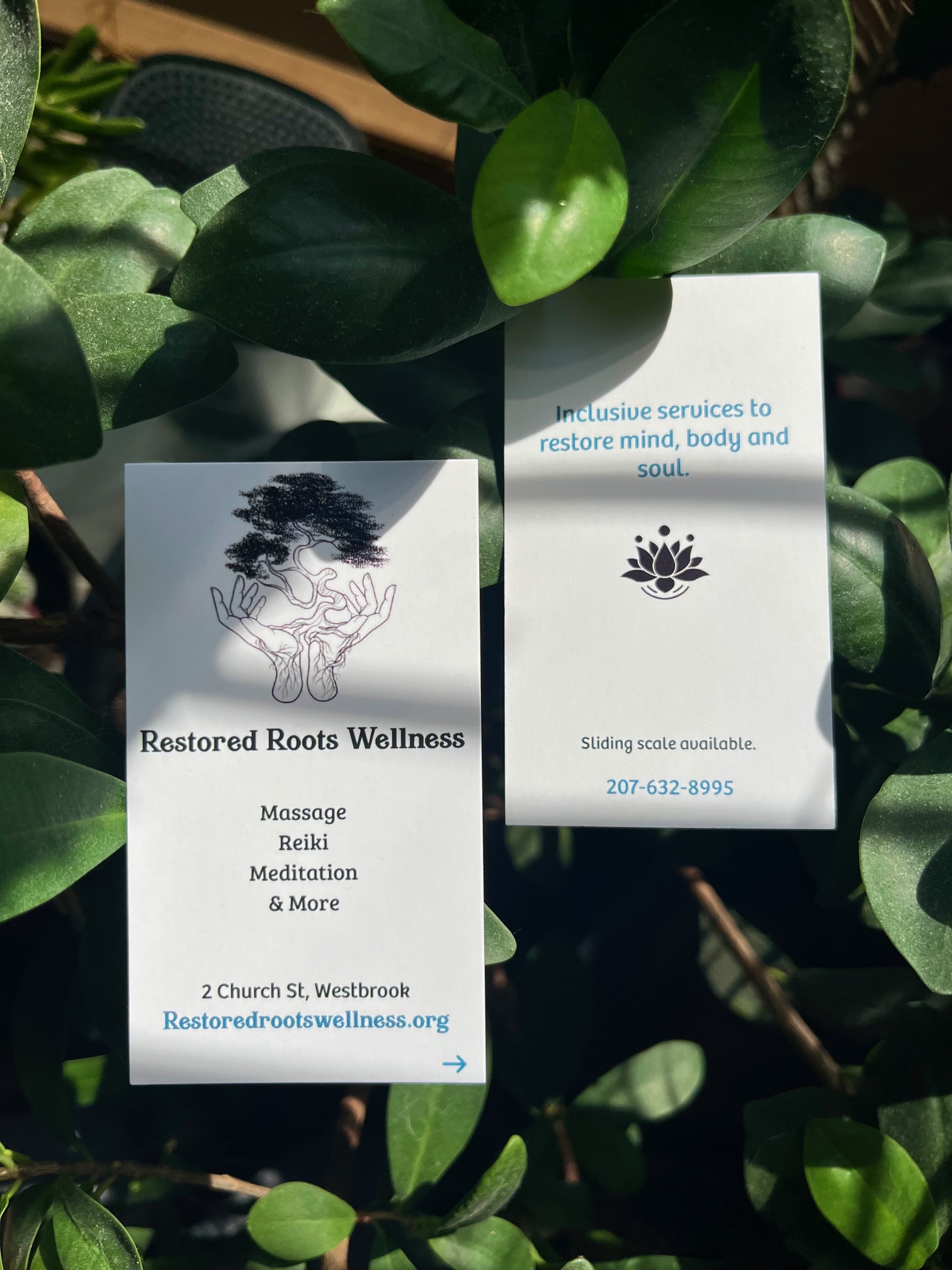 Graphic of a background of plants with two white cards with information about Restored Roots Wellness - massage reiki meditation and more on 2 Church Street in Westbrook with the URL of restoredrootswellness.org - inclusive services to restore mind, body, and soul. 207-632-8995 | Black Owned Maine Portland